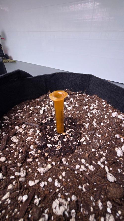 LemonTreeAuto. Week 0