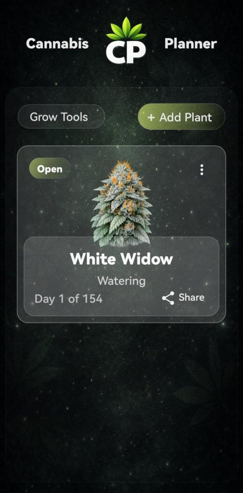 RQS White Widow. Week 0