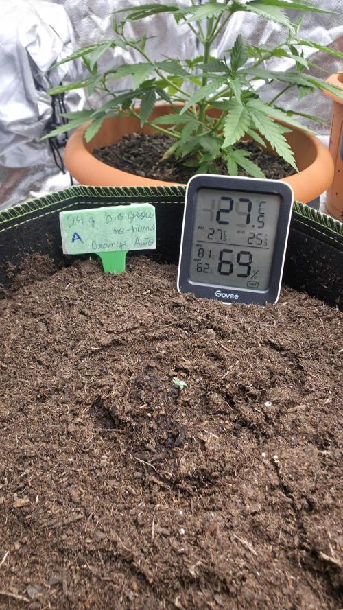 First run ever. Week 0 - This one appears to be the smallest one, Ill be naming it "A"