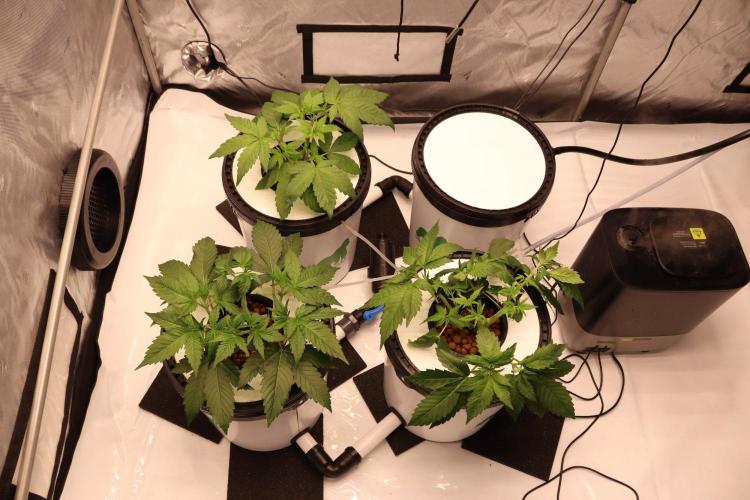 Hydro. Week 5