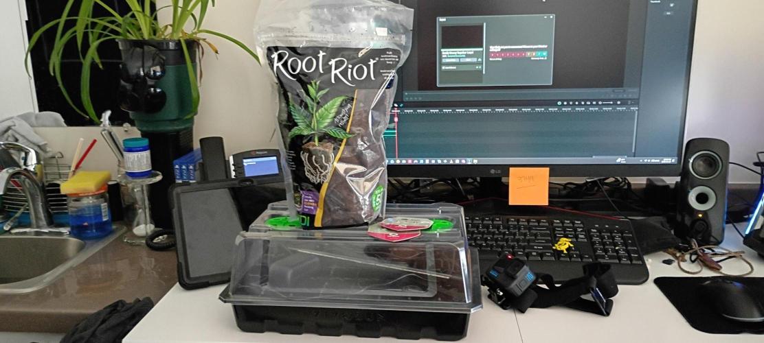 OG KUSH. My Sys-Setup.. Week 0