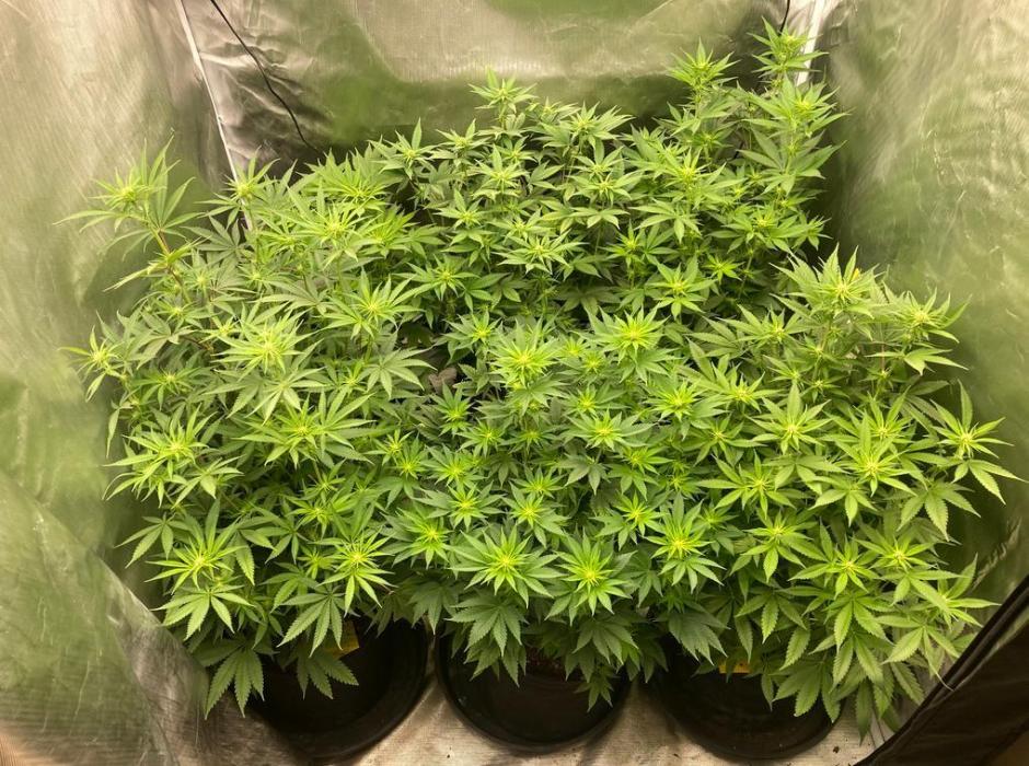 2nd cycle. Week 9