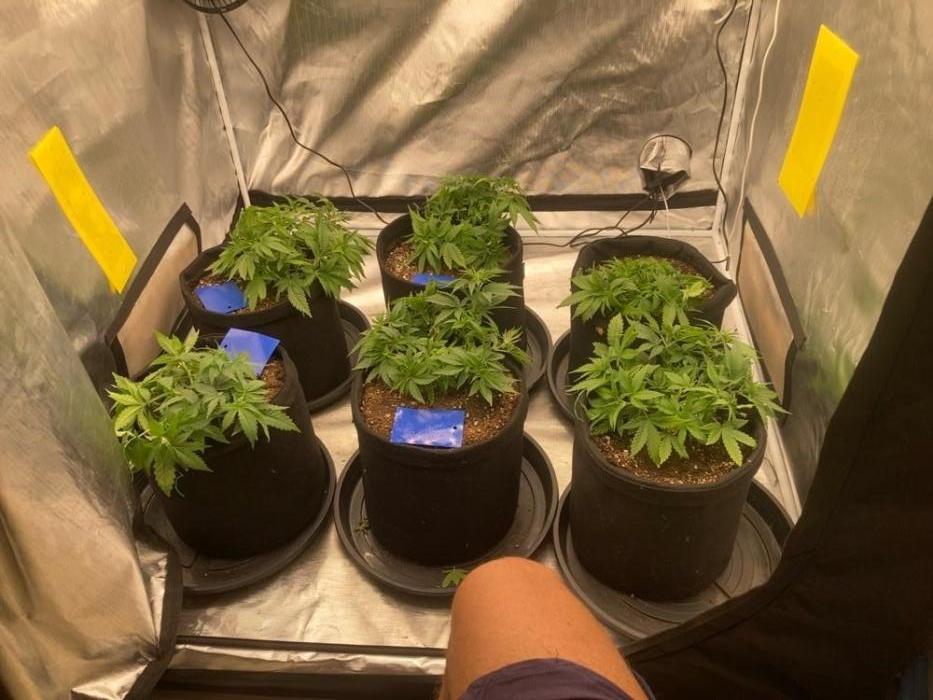 2nd cycle. Week 5