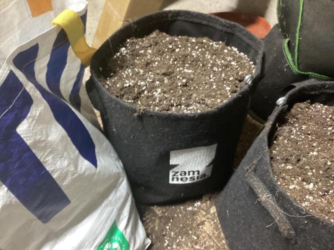 Howling haze tribe. Week 0 - My new preferred container. 
Deeper than a standard 5g black fabric
15l vs 18.9.