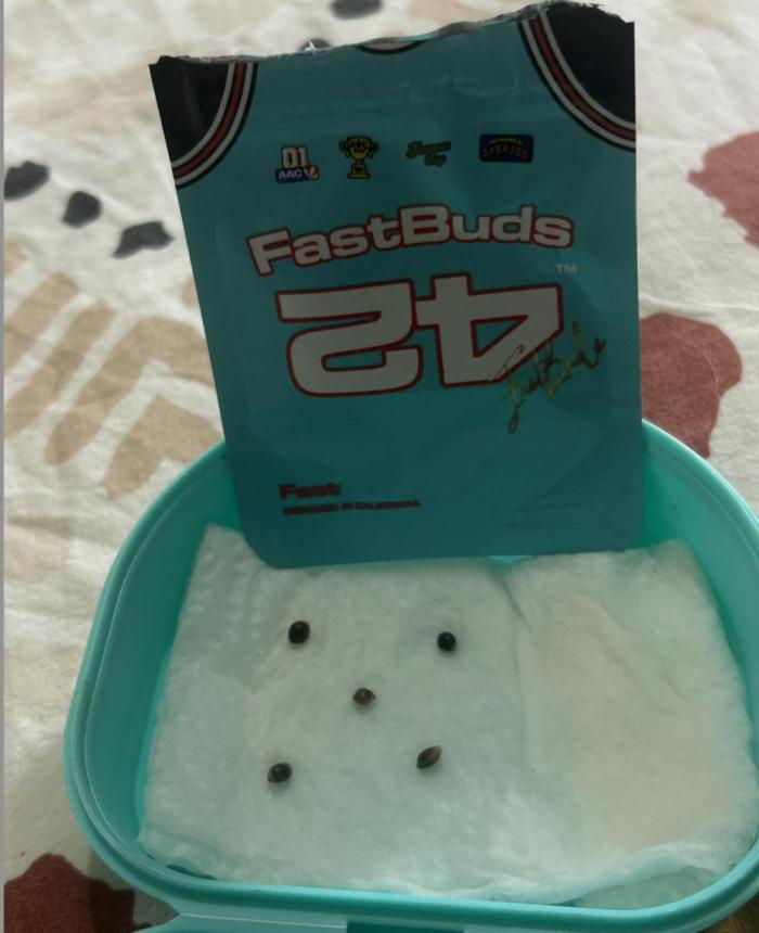 Fast Flowering Mix Fastbuds - 2026. Week 0