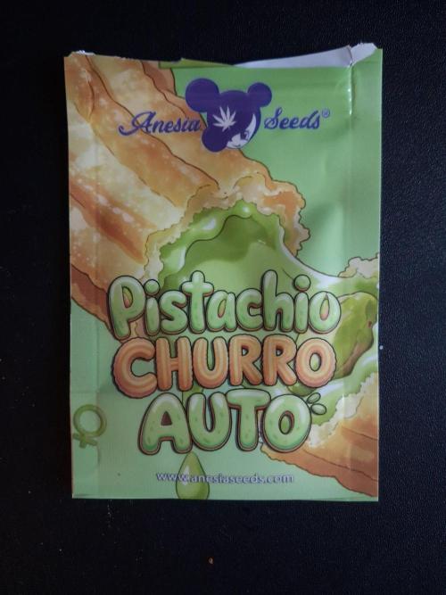Pistachio Churro Auto. Week 0