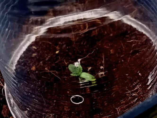 AK 2.0. Week 0 - Day 3