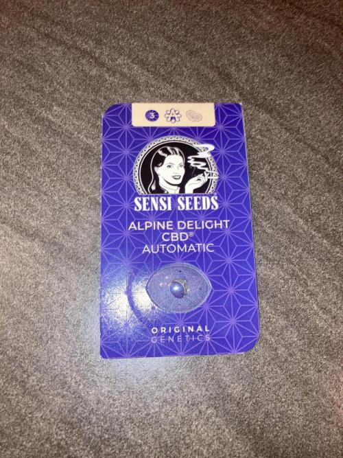 Sensi Seeds Alpine Delight CBD Auto. Week 0