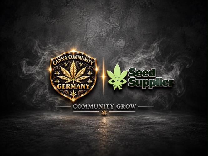 CCG X Seed Supplier. Week 0
