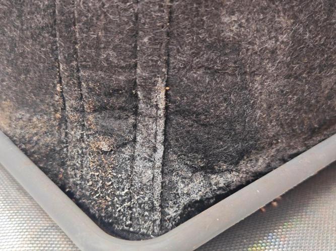 Organic Super Soil Showcase OSS. Week 7