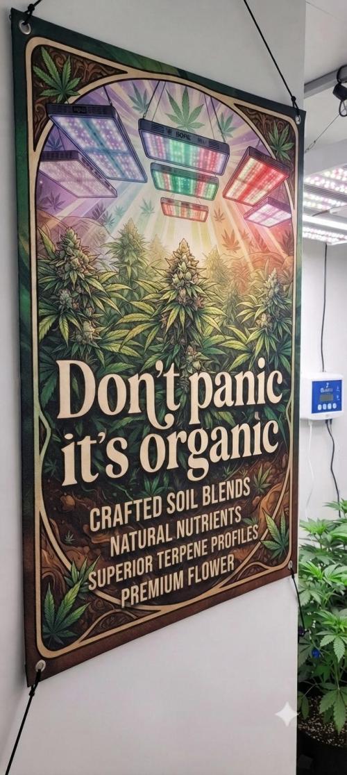 Organic Super Soil Showcase OSS. Week 10