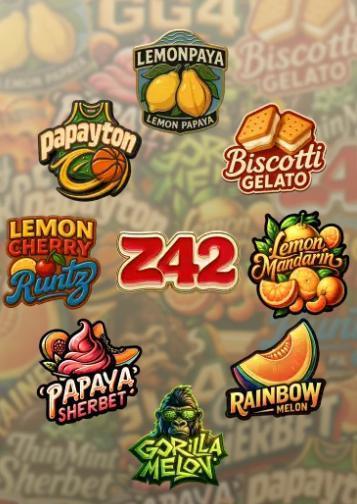 5x Fastbuds Mixpack Photoperiod. Week 7 - Should be 5x random from this selection - Photoperiod seeds