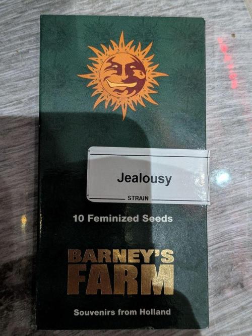 Jealousy. Week 0