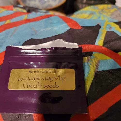 They call it More cowbell. Week 0