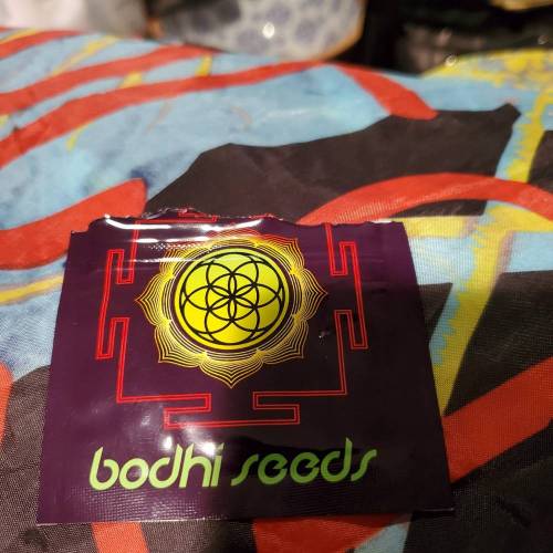 They call it More cowbell. Week 0