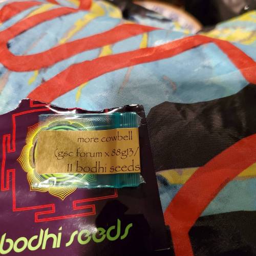 They call it More cowbell. Week 0