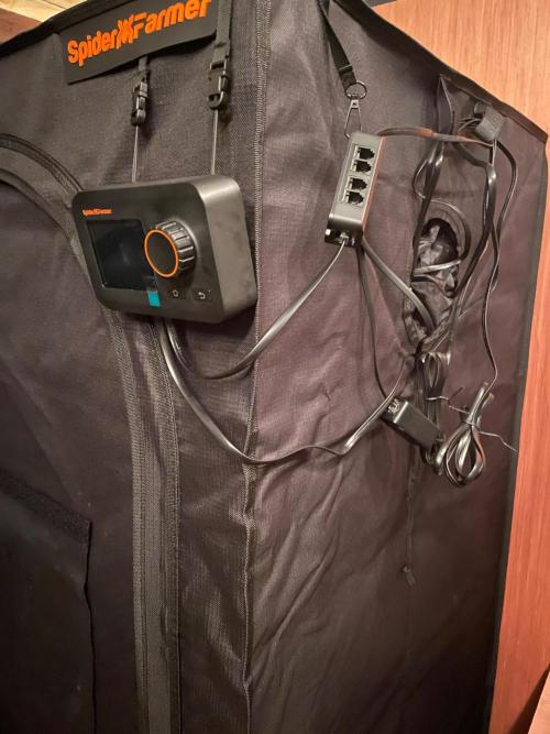 First time - fingers crossed!. Week 0 - Cable mess