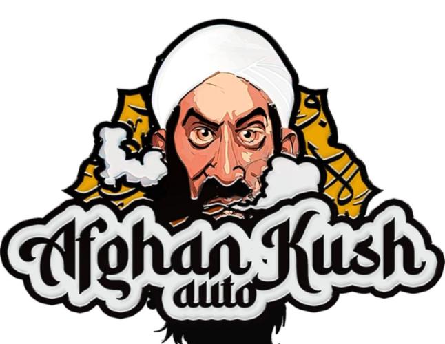 Afghan Kush Auto. Week 0