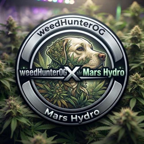 weedHunterOG: Two Devils, One Mission. Week 6