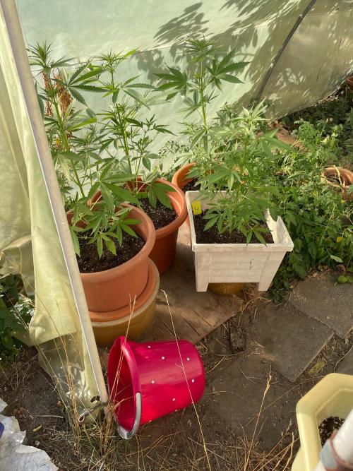 Alle unsere Buddy’s. Week 6 - Sooooo, heute haben wir gefühlt noch mal echt hochsommerliche Temperaturen…..,