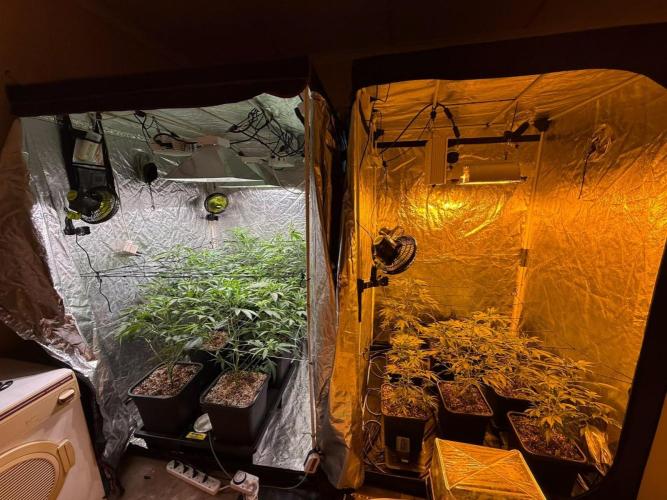 Da_BIG-GROw. Week 4