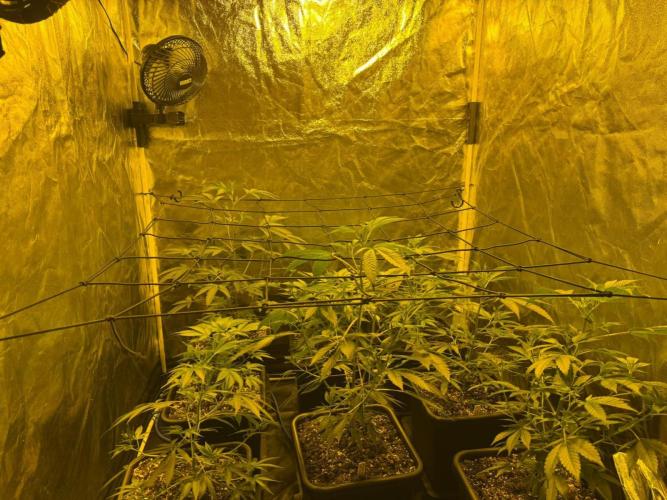 Da_BIG-GROw. Week 4
