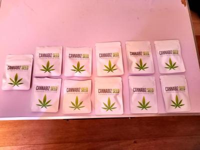 Comment by GreenhouseGrows-s4w photo #1