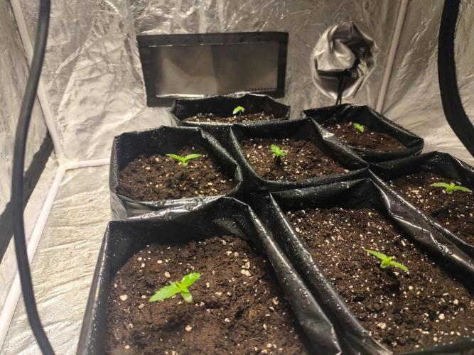 Larry Bird !. Week 1