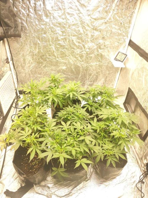 Larry Bird !. Week 5 - Better if I have 480w than 360w  but I need to try make the best with I have 