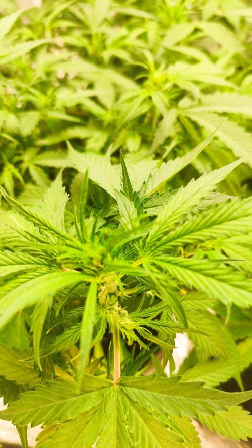 Larry Bird !. Week 6