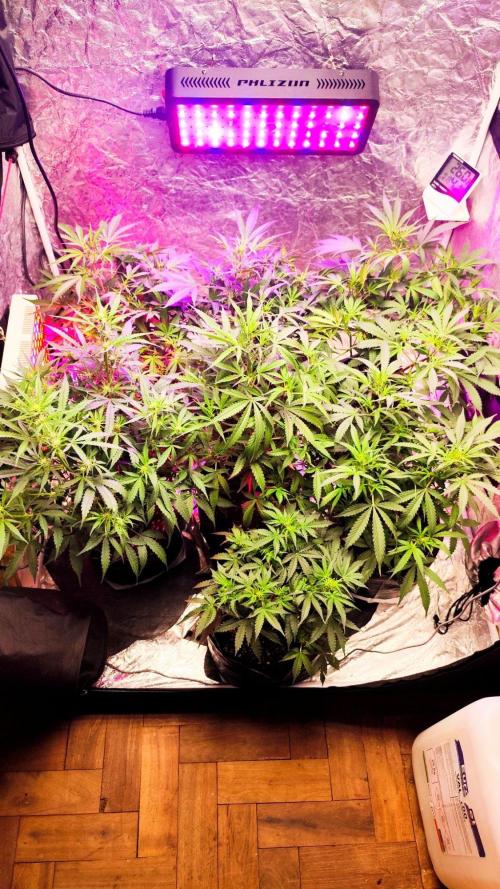 Larry Bird !. Week 7
