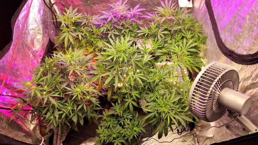 Larry Bird !. Week 7