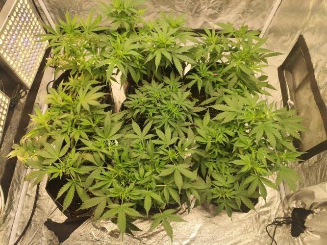 Larry Bird !. Week 5
