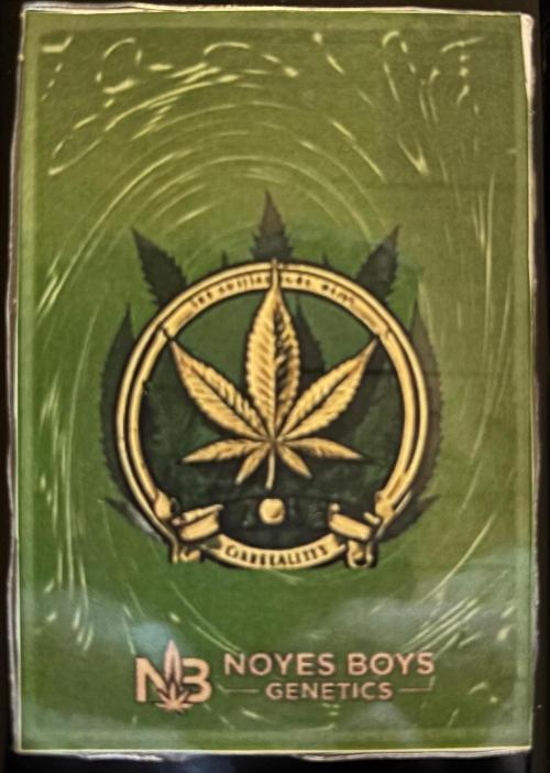 Super Larry BX1 tester. Week 0 - Noyes Boys Genetics 