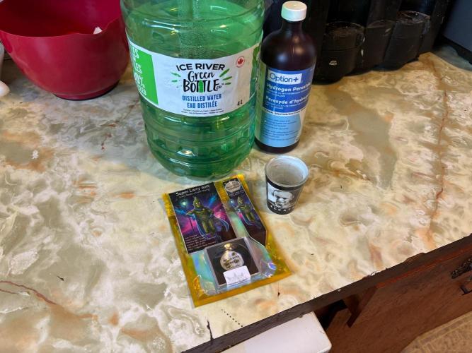 Super Larry BX1 tester. Week 0 - A 30 hour soak in h2o2 and distilled water 
