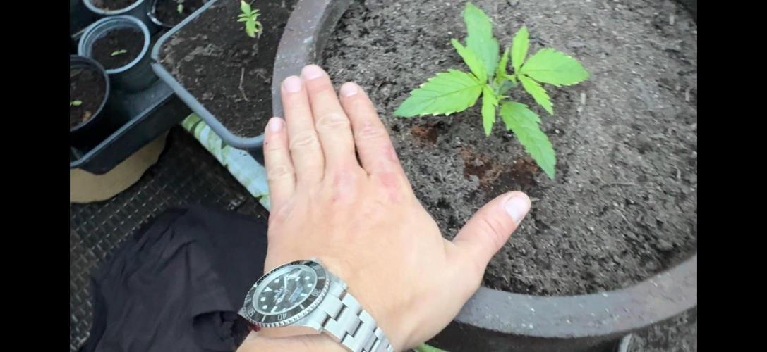 Garden Grow 2026 Go big or go home. Week 2 - Rhino Rider 
