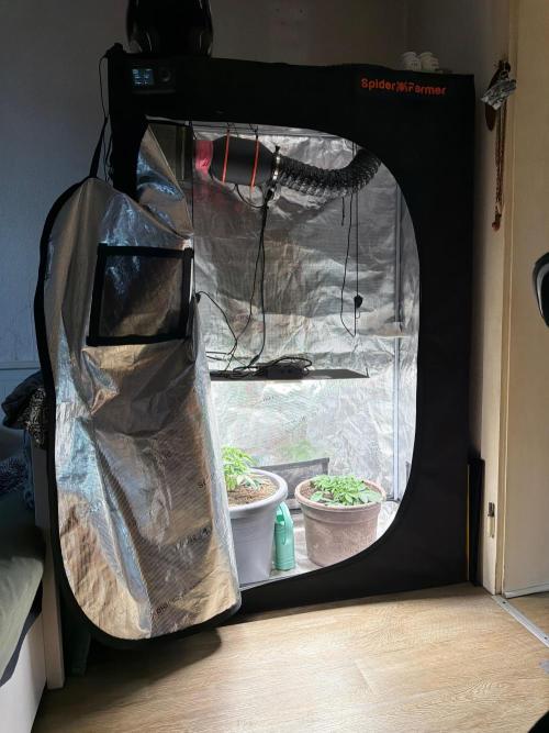 Second indoor Grow. Week 2 - The whole  setup