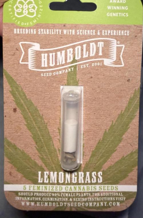 Lemongrass. Week 0