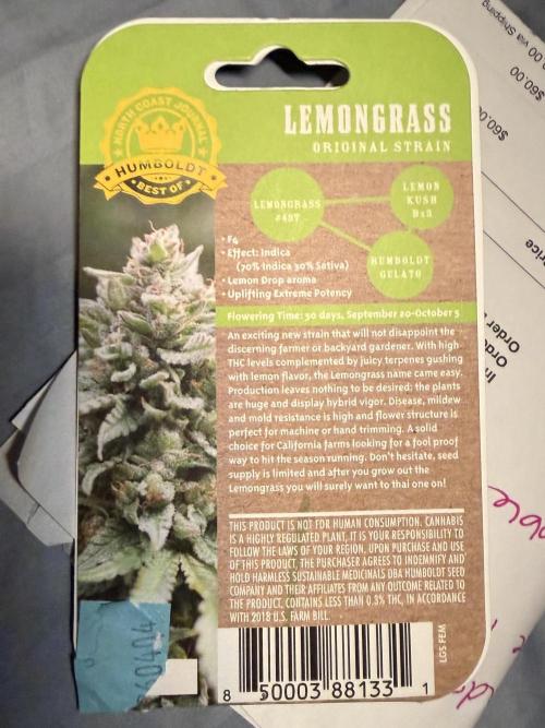 Lemongrass. Week 0