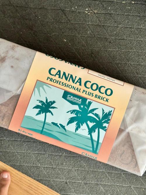 Uk Cheese Auto. Week 0 - Canna Coco Professional Plus Bricks 