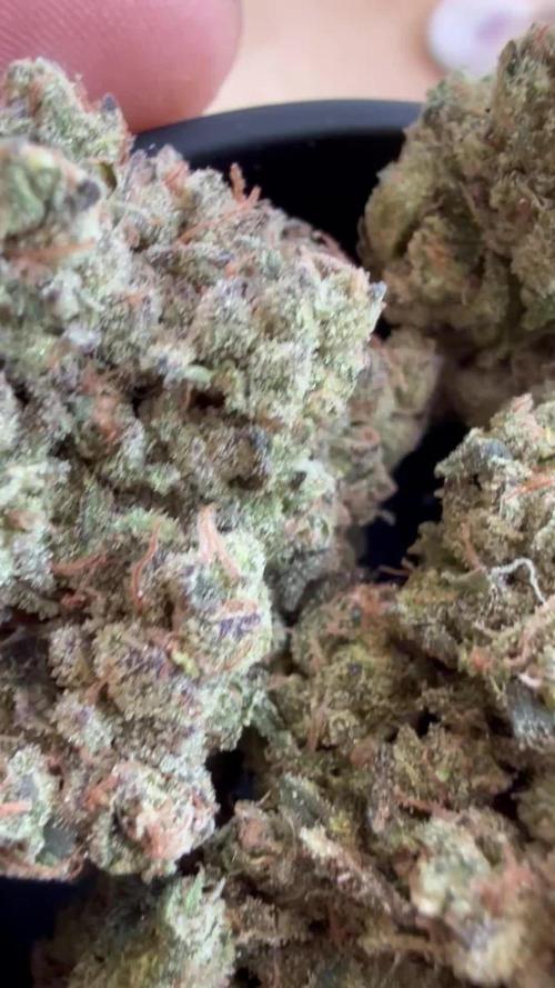 Franco’s FULLGASS⛽️& WHITE WIDOW 🕷️