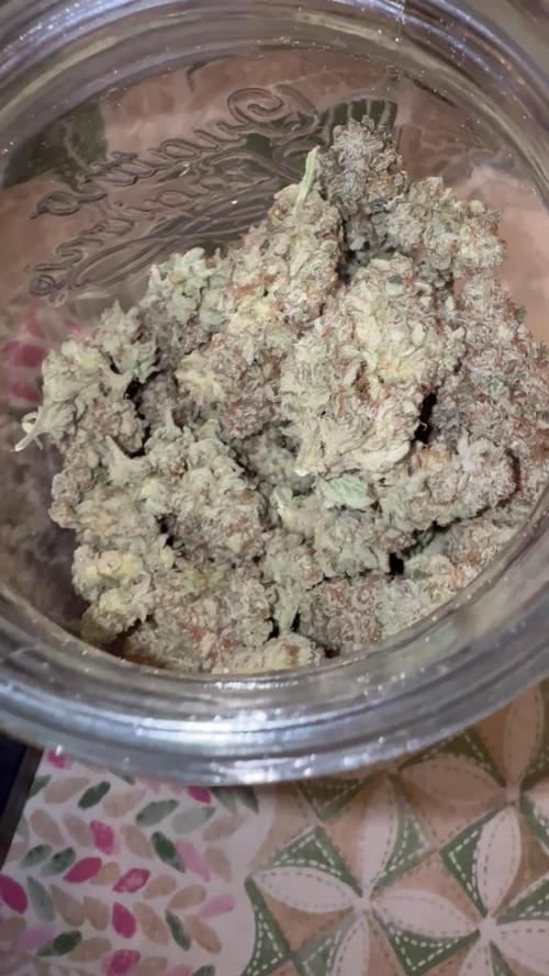Franco’s FULLGASS⛽️& WHITE WIDOW 🕷️