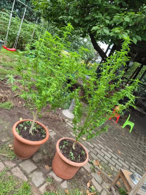 Outdoor die Erste. Week 3