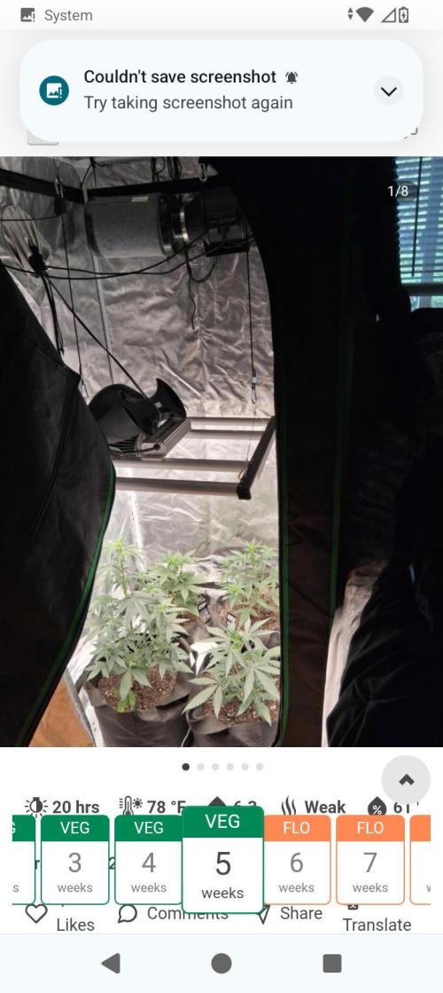 BrittbrannzChatGBTGrow. Week 4