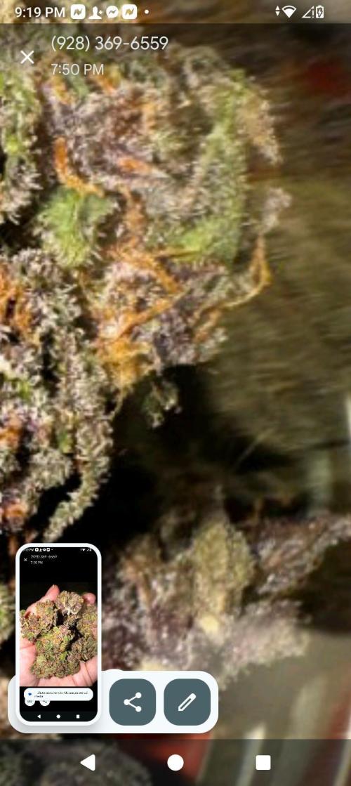 BrittbrannzChatGBTGrow. Week 12