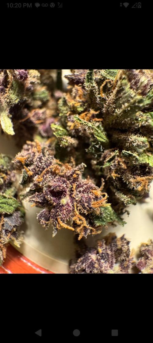 BrittbrannzChatGBTGrow. Week 12 - purple lemonade rf3 