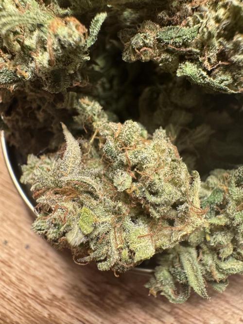 BrittbrannzChatGBTGrow. Week 15