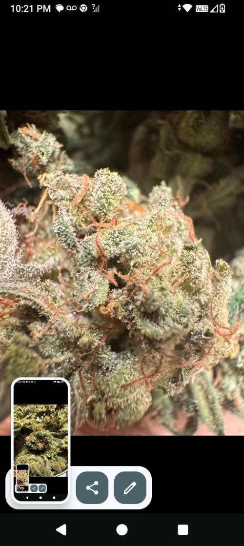 BrittbrannzChatGBTGrow. Week 15 - apple struddle over oz of it 