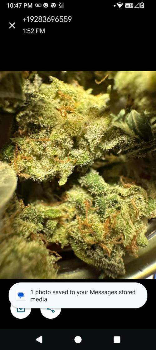 BrittbrannzChatGBTGrow. Week 15