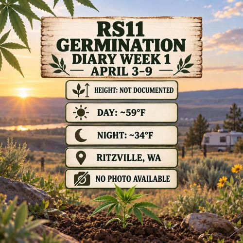 RS11 Outdoor WA 2026. Week 0